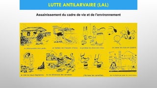 LUTTE ANTILARVAIRE (LAL)
Assainissement du cadre de vie et de l’environnement
 