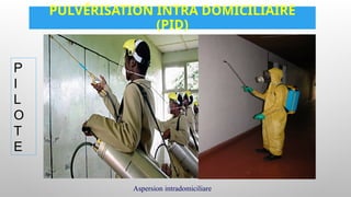 PULVÉRISATION INTRA DOMICILIAIRE
(PID)
Aspersion intradomiciliare
P
I
L
O
T
E
 