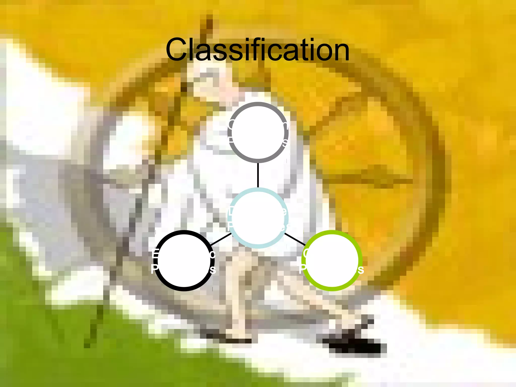 Classification
Economic
Principles
General
Principles
Gandhian
Principles
Directive
Principles
 