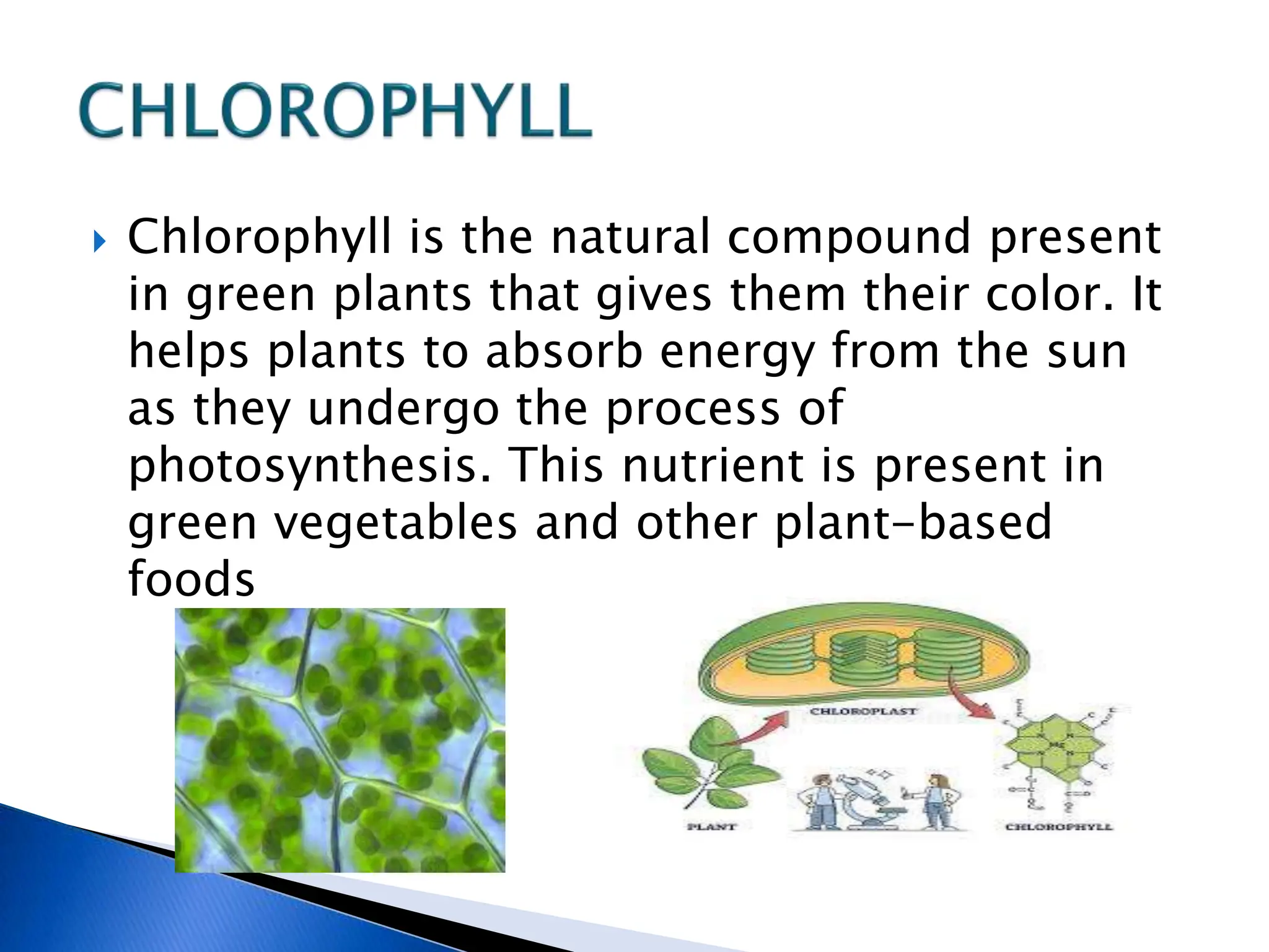  Chlorophyll is the natural compound present
in green plants that gives them their color. It
helps plants to absorb energy from the sun
as they undergo the process of
photosynthesis. This nutrient is present in
green vegetables and other plant-based
foods
 