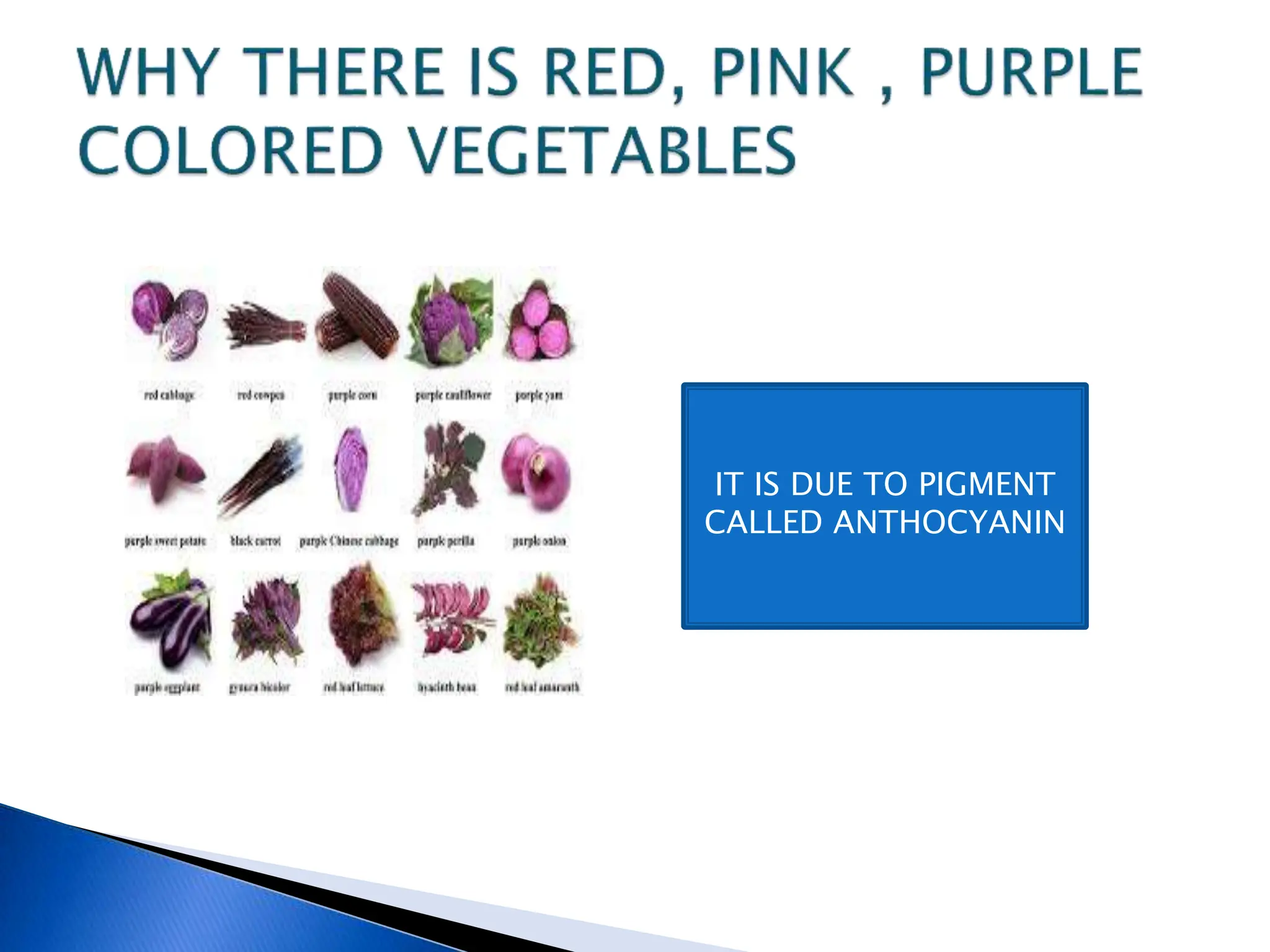 IT IS DUE TO PIGMENT
CALLED ANTHOCYANIN
 
