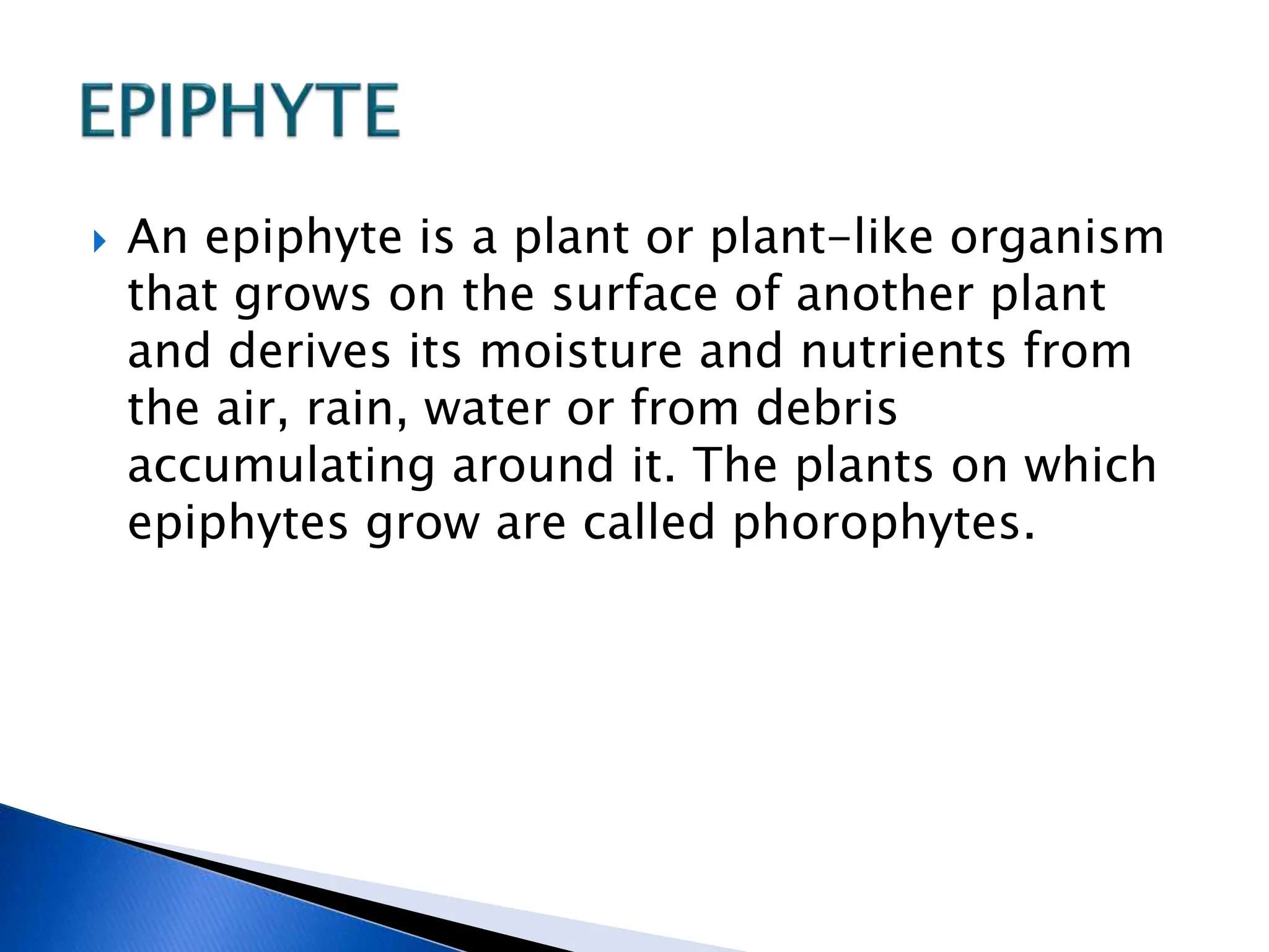  An epiphyte is a plant or plant-like organism
that grows on the surface of another plant
and derives its moisture and nutrients from
the air, rain, water or from debris
accumulating around it. The plants on which
epiphytes grow are called phorophytes.
 