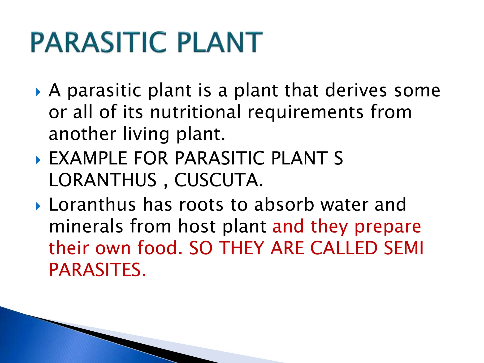  A parasitic plant is a plant that derives some
or all of its nutritional requirements from
another living plant.
 EXAMPLE FOR PARASITIC PLANT S
LORANTHUS , CUSCUTA.
 Loranthus has roots to absorb water and
minerals from host plant and they prepare
their own food. SO THEY ARE CALLED SEMI
PARASITES.
 