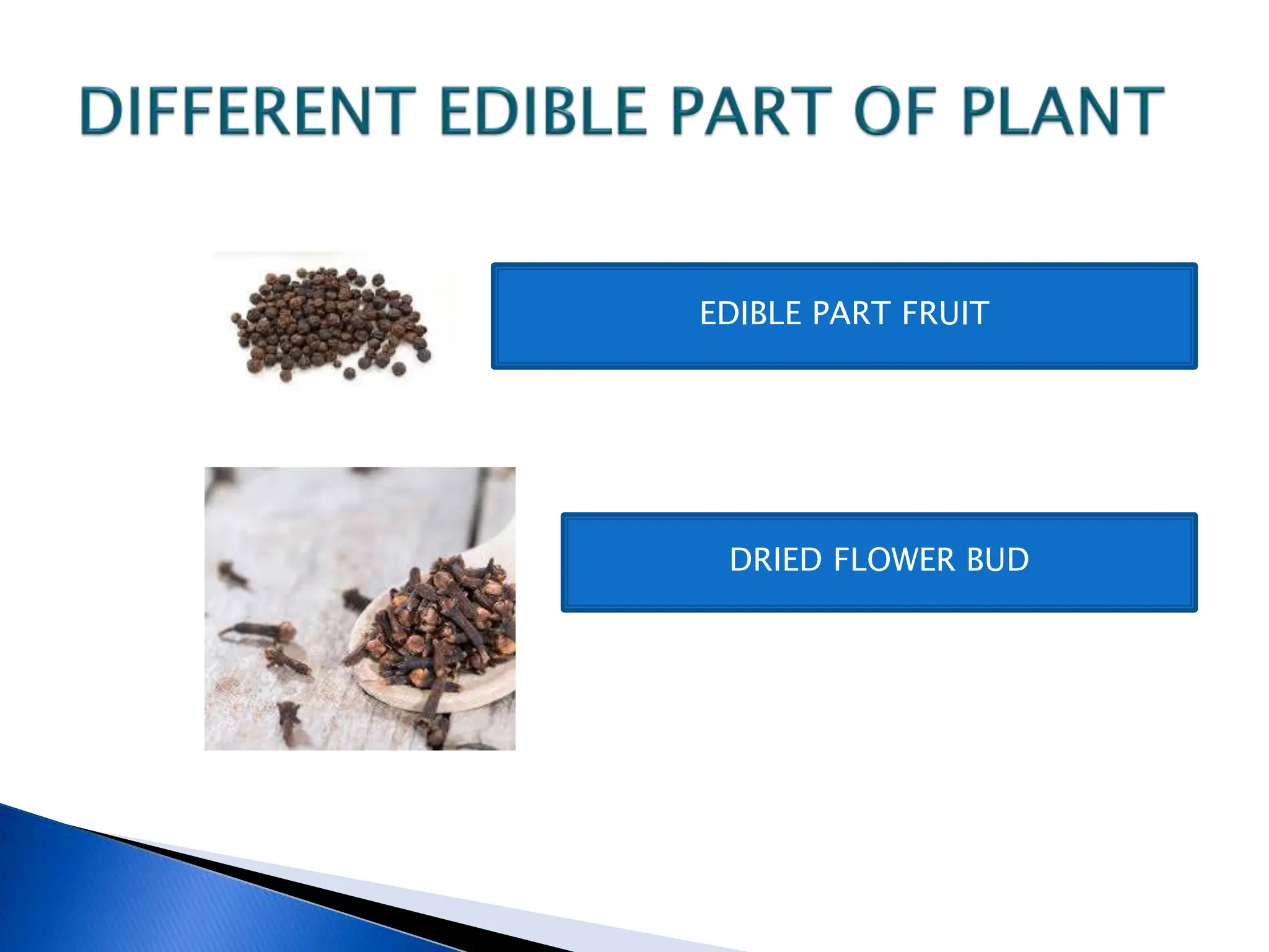 EDIBLE PART FRUIT
DRIED FLOWER BUD
 