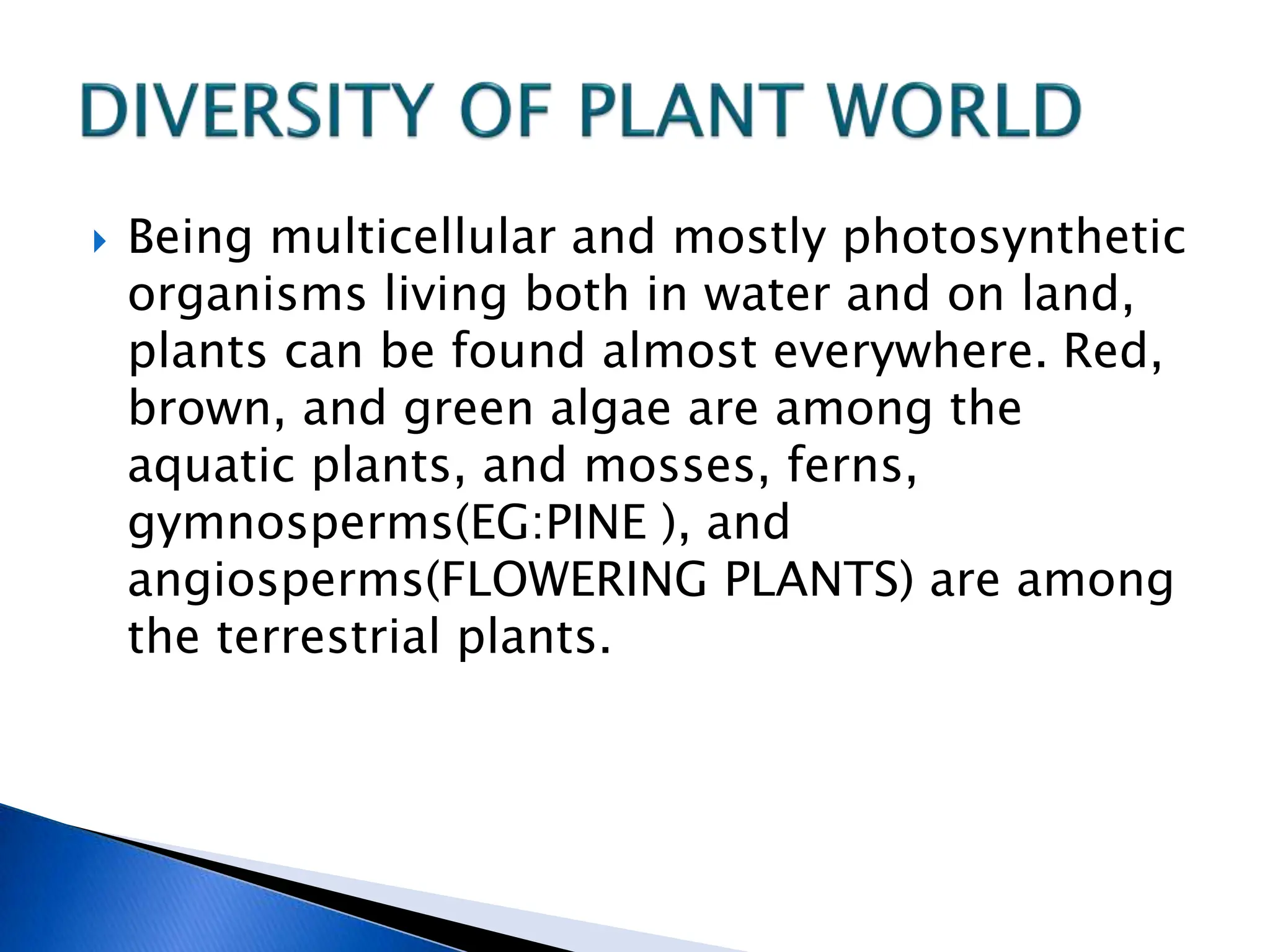  Being multicellular and mostly photosynthetic
organisms living both in water and on land,
plants can be found almost everywhere. Red,
brown, and green algae are among the
aquatic plants, and mosses, ferns,
gymnosperms(EG:PINE ), and
angiosperms(FLOWERING PLANTS) are among
the terrestrial plants.
 
