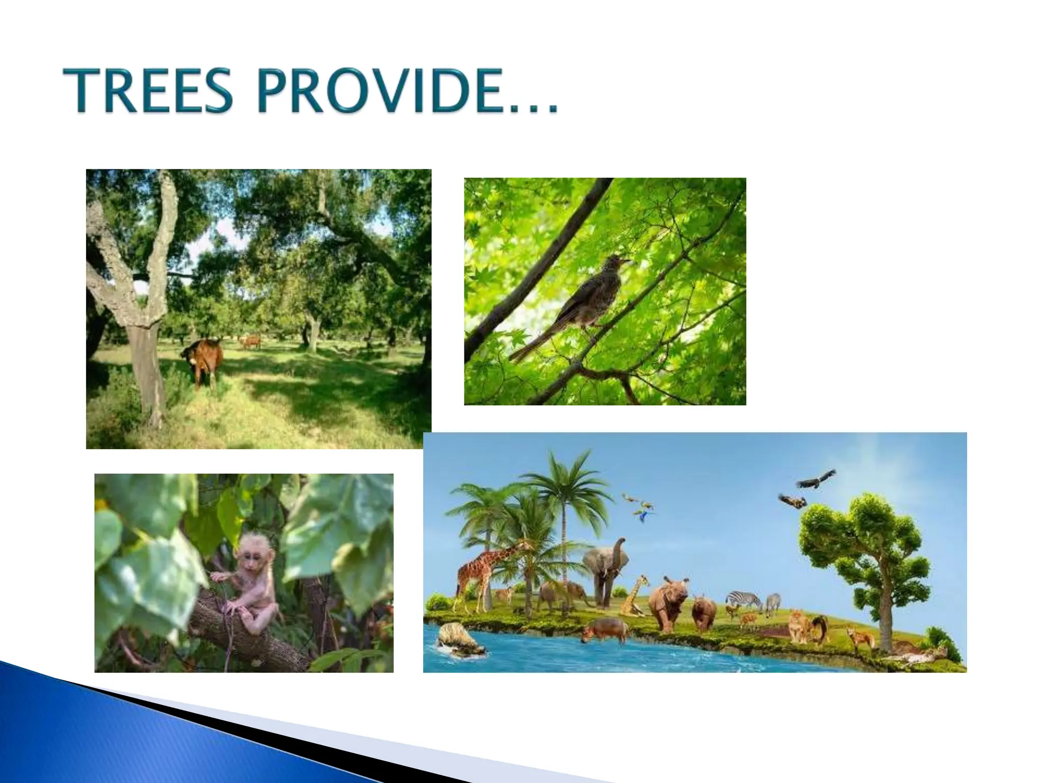 Direct instructions, towards hundred fold yield,layering,budding,grafting,plants,fertility