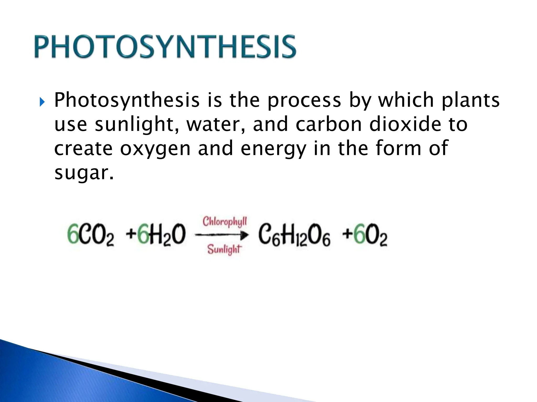  Photosynthesis is the process by which plants
use sunlight, water, and carbon dioxide to
create oxygen and energy in the form of
sugar.
 
