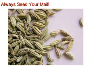 Always Seed Your Mail!Always Seed Your Mail!
 