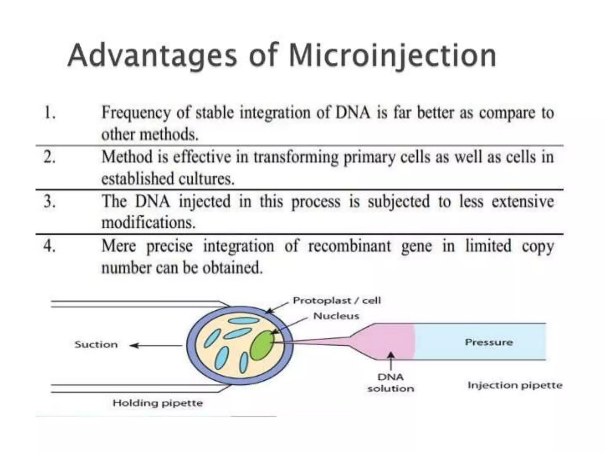 Direct methods of gene transfer in rDNA technology | PPTX