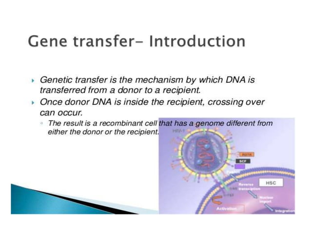 Direct methods of gene transfer in rDNA technology | PPTX
