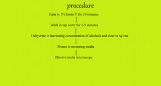 procedure
Stain in 1% Eosin Y for 10 minutes
Wash in tap water for 1-5 minutes
Dehydrate in increasing concentration of alcohols and clear in xylene
Mount in mounting media
Observe under microscope
 
