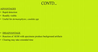 CONTD…
ADVANTAGES
• Rapid detection
• Readily visible
• Useful for dermatophytes, candida spp
• DISADVANTAGE
• Reaction of KOH with specimens produce background artifacts
• Clearing may take extended time
 