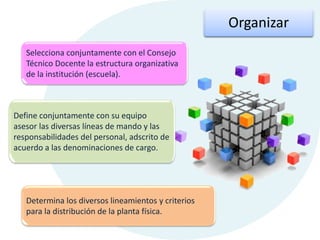 Organizar
Selecciona conjuntamente con el Consejo
Técnico Docente la estructura organizativa
de la institución (escuela).
Define conjuntamente con su equipo
asesor las diversas líneas de mando y las
responsabilidades del personal, adscrito de
acuerdo a las denominaciones de cargo.
Determina los diversos lineamientos y criterios
para la distribución de la planta física.
 