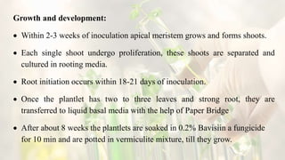 Apical Inoculation Direct organogenesis, embryogenesis, micro grafting, meristem culture ...