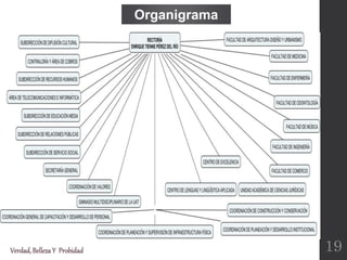 Verdad,BellezaY Probidad
Organigrama
19
 