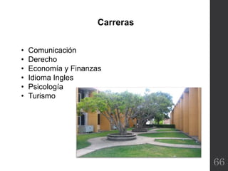 66
• Comunicación
• Derecho
• Economía y Finanzas
• Idioma Ingles
• Psicología
• Turismo
Carreras
 
