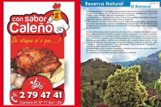 Foto:AntioquiadeAventura.com
37ASOCOMES
Reserva Natural El Romeral
El Romeral es la reserva ecológica más grande el Valle de Aburra, es su pulmón verde,
abarca una extensión de 5171 hectáreas de los municipios Medellín (San Antonio de
Prado), Caldas, Amagá, Heliconia, Angelópolis y La Estrella.
Esta reserva es de vital importancia para el área metropolitana dado que es una zona
reguladora de microclima por su gran riqueza ambiental.
Tiene especies de flora y fauna típicos y gran importancia arqueológica, puesto que
allí se han reportado los primeros asentamientos humanos del Valle de Aburrá, en el
corregimiento de Pueblo Viejo del municipio de La Estrella desde antes de la llegada
de los españoles.
Desde mucho tiempo atrás ha sido sitio de carboneros, extractores de madera y caza-
dores, aprovechando los Robles, Laureles, Cedros, Guásimos, Carboneros, Encenillos,
Guaduas, Romerones, Lechosos, Carates, Guayabos, Sietecueros entre otros muchos,
que cubrían estos montes y que se transportaban por los caminos convertidos en es-
tacones, postes, tablas y carbón. Los cazadores por su parte, dieron cuenta de mu-
chos de los animales silvestres que cuentan que había al comenzar el siglo XIX, como
“venados”, “osos hormigueros”, “osos perezosos”, “tigres lancheros”, “guaguas”…
Muchas de estas especies aún sobreviven.
Con estrategias como las áreas protegidas y mediante procesos de cultura ambiental
se trabaja por su restauración y conservación.
En estás montañas también hay ciertos atractivos turísticos.
Fuentes: CIDEAM La Estrella
y antioquiadeaventura.com
 