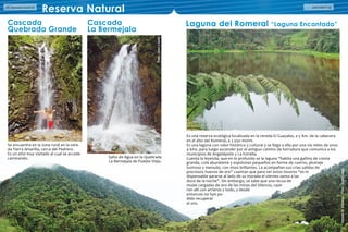 Directorio Comercial38 ASOCOMES 39Directorio Comercial38
Cascada
Quebrada Grande
Cascada
La Bermejala
Reserva Natural
Se encuentra en la zona rural en la vere-
da Tierra Amarilla, cerca del Pedrero.
Es un sitio muy visitado al cual se accede
caminando. Salto de Agua en la Quebrada
La Bermejala de Pueblo Viejo.
Es una reserva ecológica localizada en la vereda El Guayabo, a 5 Km. de la cabecera
en el alto del Romeral, a 2.550 msnm.
Es una laguna con valor histórico y cultural y se llega a ella por una vía rieles de unos
4 kms. para luego ascender por el antiguo camino de herradura que comunica a los
municipios de Angelópolis y La Estrella.
Cuenta la leyenda, que en lo profundo se la laguna “habita una gallina de cresta
grande, cola abundante y espolones pequeños en forma de cuerno, plumaje
lustroso y menudo, con visos brillantes. La acompañan sus crías salidas de
preciosos huevos de oro” cuentan que para ver estos tesoros “es in-
dispensable pararse al lado de su morada el viernes santo a las
doce de la noche”. Sin embargo, se sabe que una recua de
mulas cargadas de oro de las minas del Silencio, caye-
ron allí con arrieros y todo, y desde
entonces no han po-
dido recuperar
el oro.
Laguna del Romeral “Laguna Encantada”
VeredaElSilencio-Foto:JuanLopéz
Foto:JuanLopéz
 
