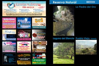 ASOCOMES 47
Reserva Natural
Se encuentra en la Vereda San José en su
zona rural, a 1,5 Km. de la cabecera. Loca-
lizada a dos horas de camino del Parque
Principal, es una formación rocosa, en
forma de cueva, incrustada en la tierra y
rodeada de un gran bosque de pino en su
parte inferior y bosque nativo en la supe-
rior. Se dice que su nombre hace alusión a
un tesoro que al parecer, aún permanece
en sus entrañas y fue guardado con celo
por las comunidades indígenas que habi-
taron La Estrella, para salvarlo de los es-
pañoles.
También, enterraron allí a sus difuntos y
cuentan los abuelos que por intentar ul-
trajar este sepulcro, los espíritus de los
indios quedaron volando por el monte
durante varios años y que en las noches
de luna llena, desde aquí del pueblo se
veían allá arriba danzando alrededor de
la piedra, y después se entraban para las
habitaciones que tiene esa cueva.
Laguna del Silencio
La Piedra del Oro
Pueblo Viejo, Vereda.
Es un depósito natural de agua ubicado en la
vereda El Silencio.
Sitio de gran valor arqueológico, históri-
co y cultural por ser éste el lugar donde
inicialmente se asentó la población desde
antes de su fundación. Ha sido propuesta
como reserva arqueológica, por el valor
de los hallazgos y registros que se han en-
contrado en el lugar.
MetáforasTienda
Servicio de transporte terrestre y
alquiler de chivas.
 