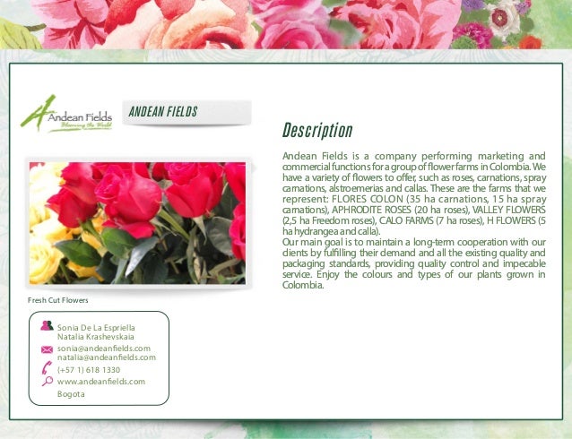 Directorio Digital Flowers Expo Ing 04 09 13