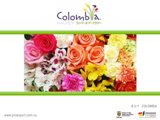 B U Y COLOMBIA

www.proexport.com.co
 
