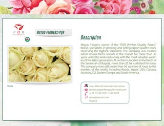 WAYUU FLOWERS/PQR

Description
Wayuu Flowers, owner of the "PQR (Perfect Quality Roses)"
brand, specializes in growing and selling export quality roses,
observing the highest standards. The company was created
when several farms known in the market for more than 20
years united to work exclusively with the most valuable varieties of the latest generation. At our farms, located in the North of
the Savannah of Bogotá, more than 25 ha is allotted for roses.
The company now sells more than 56 varieties of roses to the
markets of the world, including Russia, Japan, USA, Canada,
Australia, EU, Eastern Europe and South America.

Roses

Juan Manuel Gutierrez Lacouture
gerencia@perfectqualityroses.com
(+57 1) 530 3921 / 530 3922
www.pqroses.com
Bogota

 