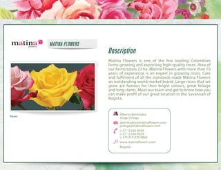 MATINA FLOWERS

Description
Matina Flowers is one of the few leading Colombian
farms growing and exporting high-quality roses. Area of
our farms totals 23 ha. Matina Flowers with more than 10
years of experience is an expert in growing roses. Care
and fulfilment of all the standards made Matina Flowers
an outstanding world market brand. Large roses that we
grow are famous for their bright colours, great foliage
and long stems. Meet our team and get to know how you
can make profit of our great location in the Savannah of
Bogota.

Roses

Alberto Bermúdez
Jorge Ortega
abermudez@matinaflowers.com
jortega@matinaflowers.com
(+57 1) 636 0939
(+57 1) 636 0929
(+57) 314 330 0864
www.matinaflowers.com
Bogota

 