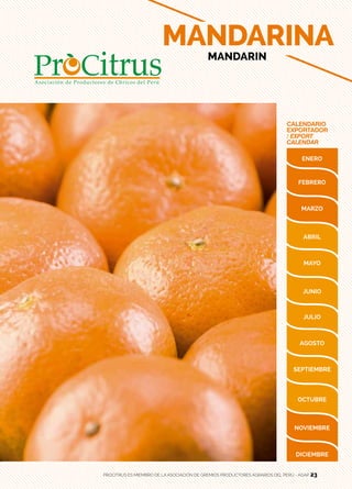 23
CALENDARIO
EXPORTADOR
/ EXPORT
CALENDAR
MANDARINA
MANDARIN
PROCITRUS ES MIEMBRO DE LA ASOCIACIÓN DE GREMIOS PRODUCTORES AGRARIOS DEL PERÚ - AGAP 23
 