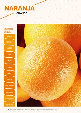 26
CALENDARIO
EXPORTADOR
/ EXPORT
CALENDAR
NARANJA
ORANGE
PROCITRUS ES MIEMBRO DE LA ASOCIACIÓN DE GREMIOS PRODUCTORES AGRARIOS DEL PERÚ - AGAP26
 
