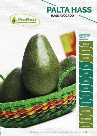 37
CALENDARIO
EXPORTADOR
/ EXPORT
CALENDAR
PALTA HASS
HASS AVOCADO
PROHASS ES MIEMBRO DE LA ASOCIACIÓN DE GREMIOS PRODUCTORES AGRARIOS DEL PERÚ - AGAP 37
 