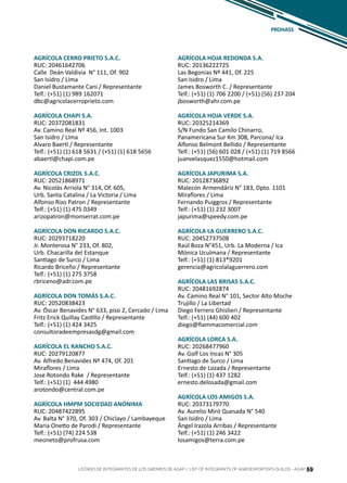59
AGRÍCOLA CERRO PRIETO S.A.C.
RUC: 20461642706
Calle Deán Valdivia N° 111, Of. 902
San Isidro / Lima
Daniel Bustamante Cani / Representante
Telf.: (+51) (1) 989 162071
dbc@agricolacerroprieto.com
AGRÍCOLA CHAPI S.A.
RUC: 20372081831
Av. Camino Real Nº 456, Int. 1003
San Isidro / Lima
Alvaro Baertl / Representante
Telf.: (+51) (1) 618 5631 / (+51) (1) 618 5656
abaertl@chapi.com.pe
AGRÍCOLA CRIZOL S.A.C.
RUC: 20521868971
Av. Nicolás Arriola N° 314, Of. 605,
Urb. Santa Catalina / La Victoria / Lima
Alfonso Rizo Patron / Representante
Telf.: (+51) (1) 475 0349
arizopatron@monserrat.com.pe
AGRÍCOLA DON RICARDO S.A.C.
RUC: 20293718220
Jr. Monterosa N° 233, Of. 802,
Urb. Chacarilla del Estanque
Santiago de Surco / Lima
Ricardo Briceño / Representante
Telf.: (+51) (1) 275 3758
rbriceno@adr.com.pe
AGRÍCOLA DON TOMÁS S.A.C.
RUC: 20520838423
Av. Óscar Benavides N° 633, piso 2, Cercado / Lima
Fritz Erick Quillay Castillo / Representante
Telf.: (+51) (1) 424 3425
consultoradeempresasdg@gmail.com
AGRÍCOLA EL RANCHO S.A.C.
RUC: 20279120877
Av. Alfredo Benavides Nº 474, Of. 201
Miraflores / Lima
Jose Rotondo Rake / Representante
Telf.: (+51) (1) 444 4980
arotondo@central.com.pe
AGRÍCOLA HMPM SOCIEDAD ANÓNIMA
RUC: 20487422895
Av. Balta N° 370, Of. 303 / Chiclayo / Lambayeque
Maria Onetto de Parodi / Representante
Telf.: (+51) (74) 224 538
meoneto@profrusa.com
AGRÍCOLA HOJA REDONDA S.A.
RUC: 20136222725
Las Begonias Nº 441, Of. 225
San Isidro / Lima
James Bosworth C. / Representante
Telf.: (+51) (1) 706 2200 / (+51) (56) 237 204
jbosworth@ahr.com.pe
AGRÍCOLA HOJA VERDE S.A.
RUC: 20325214369
S/N Fundo San Camilo Chinarro,
Panamericana Sur Km 308, Parcona/ Ica
Alfonso Belmont Bellido / Representante
Telf.: (+51) (56) 601 028 / (+51) (1) 719 8566
juanvelasquez1550@hotmail.com
AGRÍCOLA JAPURIMA S.A.
RUC: 20128736892
Malecón Armendáriz N° 183, Dpto. 1101
Miraflores / Lima
Fernando Puiggros / Representante
Telf.: (+51) (1) 232 3007
japurima@speedy.com.pe
AGRÍCOLA LA GUERRERO S.A.C.
RUC: 20452737508
Raúl Boza N°451, Urb. La Moderna / Ica
Mónica Uculmana / Representante
Telf.: (+51) (1) 813*9201
gerencia@agricolalaguerrero.com
AGRÍCOLA LAS BRISAS S.A.C.
RUC: 20481692874
Av. Camino Real N° 101, Sector Alto Moche
Trujillo / La Libertad
Diego Ferrero Ghislieri / Representante
Telf.: (+51) (44) 600 402
diego@fiammacomercial.com
AGRÍCOLA LORCA S.A.
RUC: 20268477960
Av. Golf Los Incas N° 305
Santiago de Surco / Lima
Ernesto de Lozada / Representante
Telf.: (+51) (1) 437 1282
ernesto.delosada@gmail.com
AGRÍCOLA LOS AMIGOS S.A.
RUC: 20373179770
Av. Aurelio Miró Quesada N° 540
San Isidro / Lima
Ángel Irazola Arribas / Representante
Telf.: (+51) (1) 246 3422
losamigos@terra.com.pe
PROHASS
LISTADO DE INTEGRANTES DE LOS GREMIOS DE AGAP / LIST OF INTEGRANTS OF AGROEXPORTER’S GUILDS - AGAP 59
 
