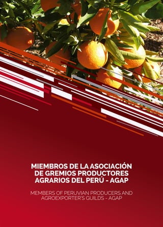 7
MIEMBROS DE LA ASOCIACIÓN
DE GREMIOS PRODUCTORES
AGRARIOS DEL PERÚ - AGAP
MEMBERS OF PERUVIAN PRODUCERS AND
AGROEXPORTER’S GUILDS - AGAP
 