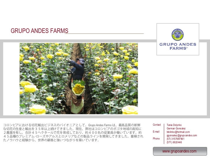 Directorio ifex japonesDirectorio ifex japones
