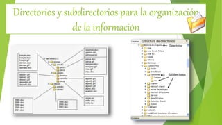 Directorios y subdirectorios para la organización
de la información
 