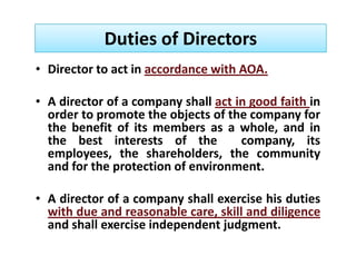 Directors role & liabilities | PDF