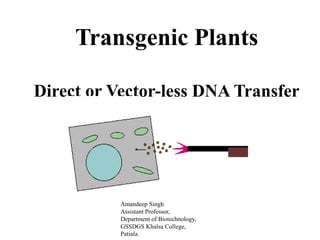 Transgenic Plants
Direct or Vector-less DNA Transfer
Amandeep Singh
Assistant Professor,
Department of Biotechnology,
GSSDGS Khalsa College,
Patiala.
 