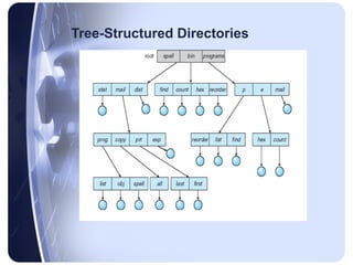 directory and disk structure in Operating systems .pptx