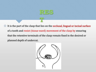 RES 
T 
 It is the part of the clasp that lies on the occlusal, lingual or incisal surface 
of a tooth and resist (tissue ward) movement of the clasp by ensuring 
that the retentive terminals of the clasp remain fixed in the desired or 
planned depth of undercut. 
 