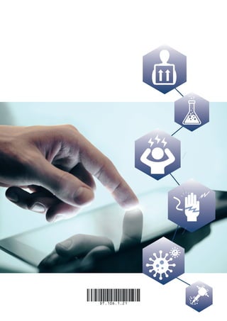 Directrices evaluación de riesgos.pdf