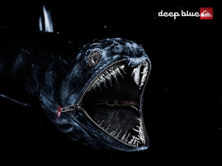 Directrices para uso de RS Quiksilver