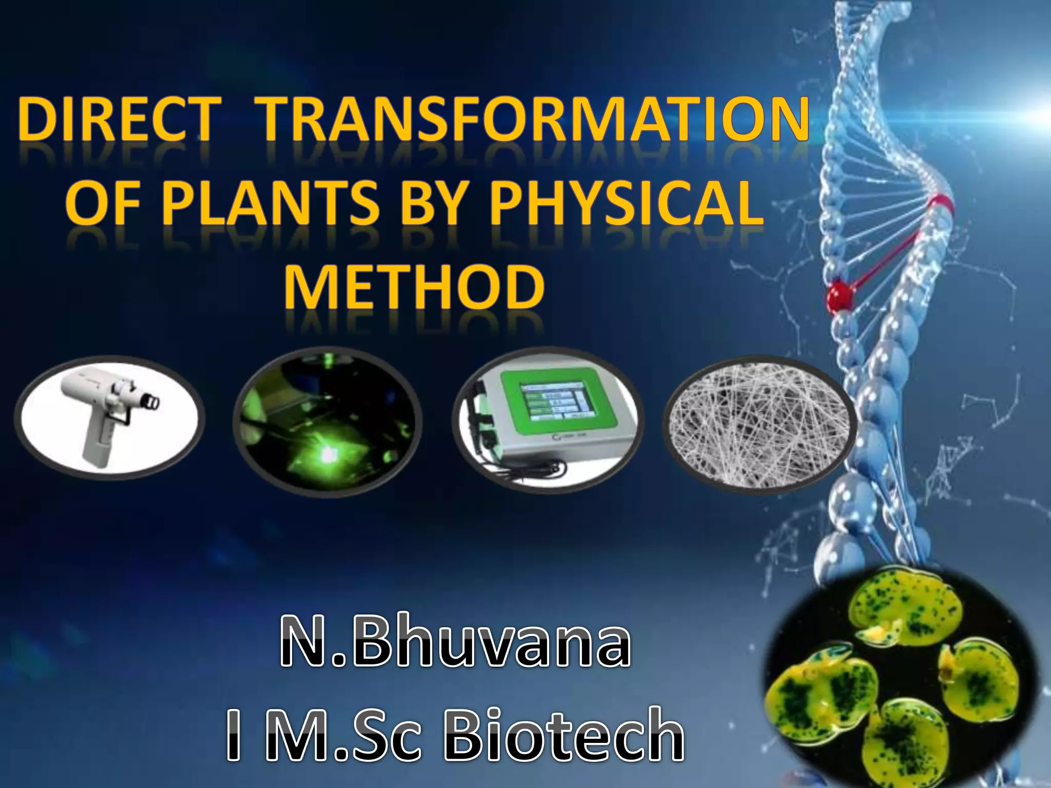 Direct transformation in plants | PPT