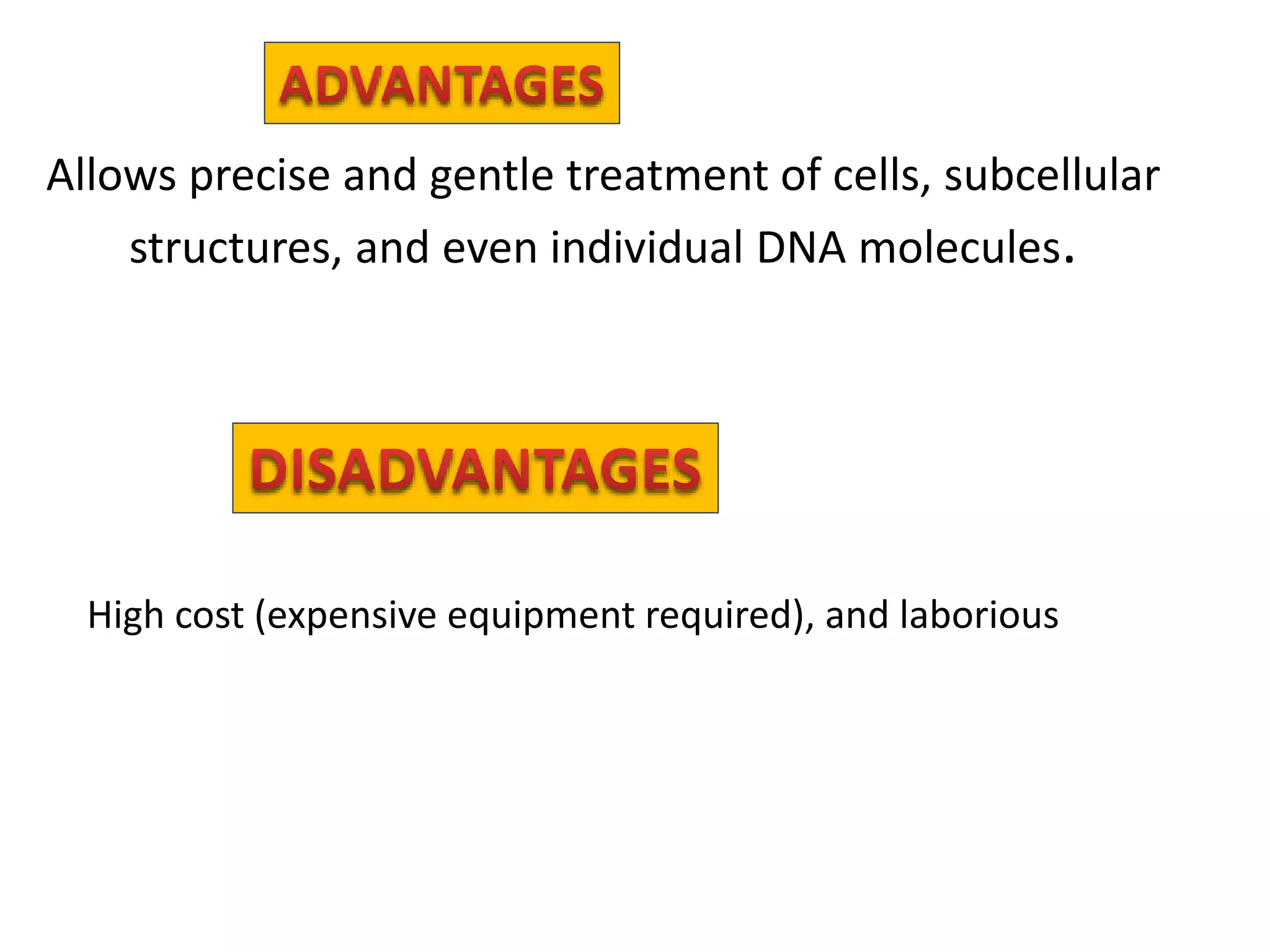 Direct transformation in plants | PPT