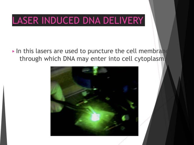 Direct transformation in plants | PPT