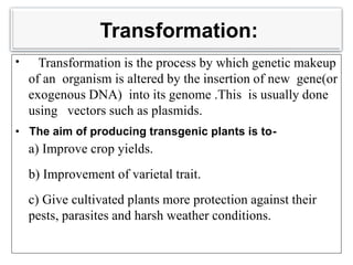 Direct transformation in plants | PPT