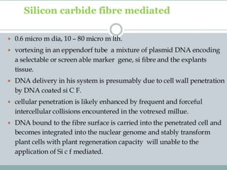 Direct transformation in plants | PPT