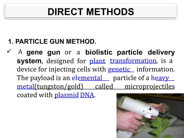 Direct transformation in plants | PPT