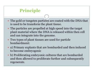 Direct transformation in plants | PPT