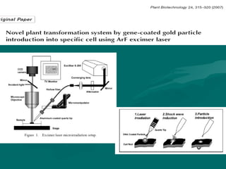 Direct transformation method | PPT