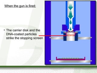 Direct transformation method | PPT