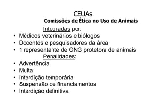 Experimentação x Direito Animal